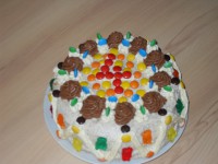 /album/fotogalerie-fotky-dortu/sdc11056-jpg1/